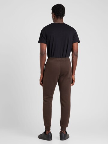 HOLLISTER Tapered Pants in Brown