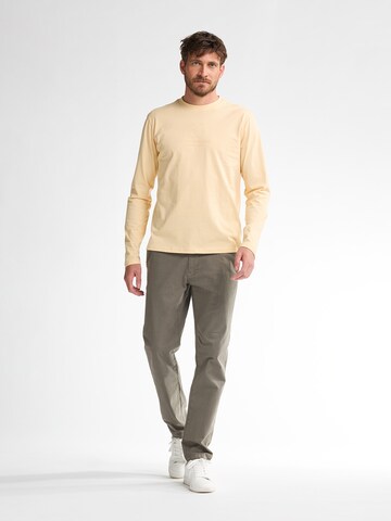 Petrol Industries Regular Pants in Brown