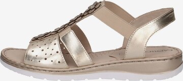 CAPRICE Sandals in Gold