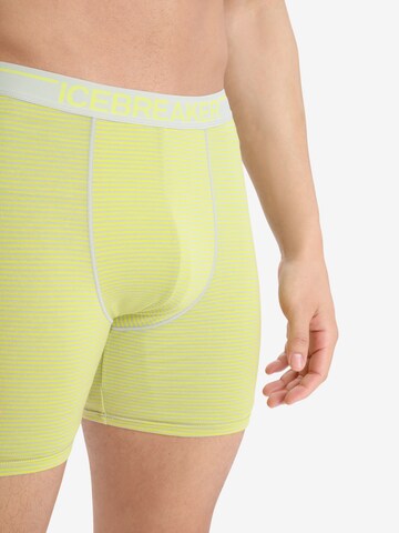 ICEBREAKER - Cueca desportiva 'Anatomica' em amarelo