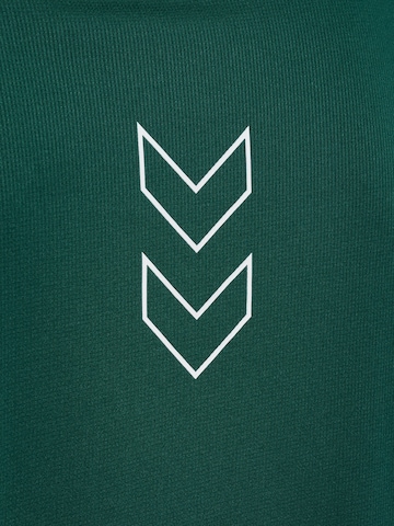 Hummel Functioneel shirt 'Court' in Groen