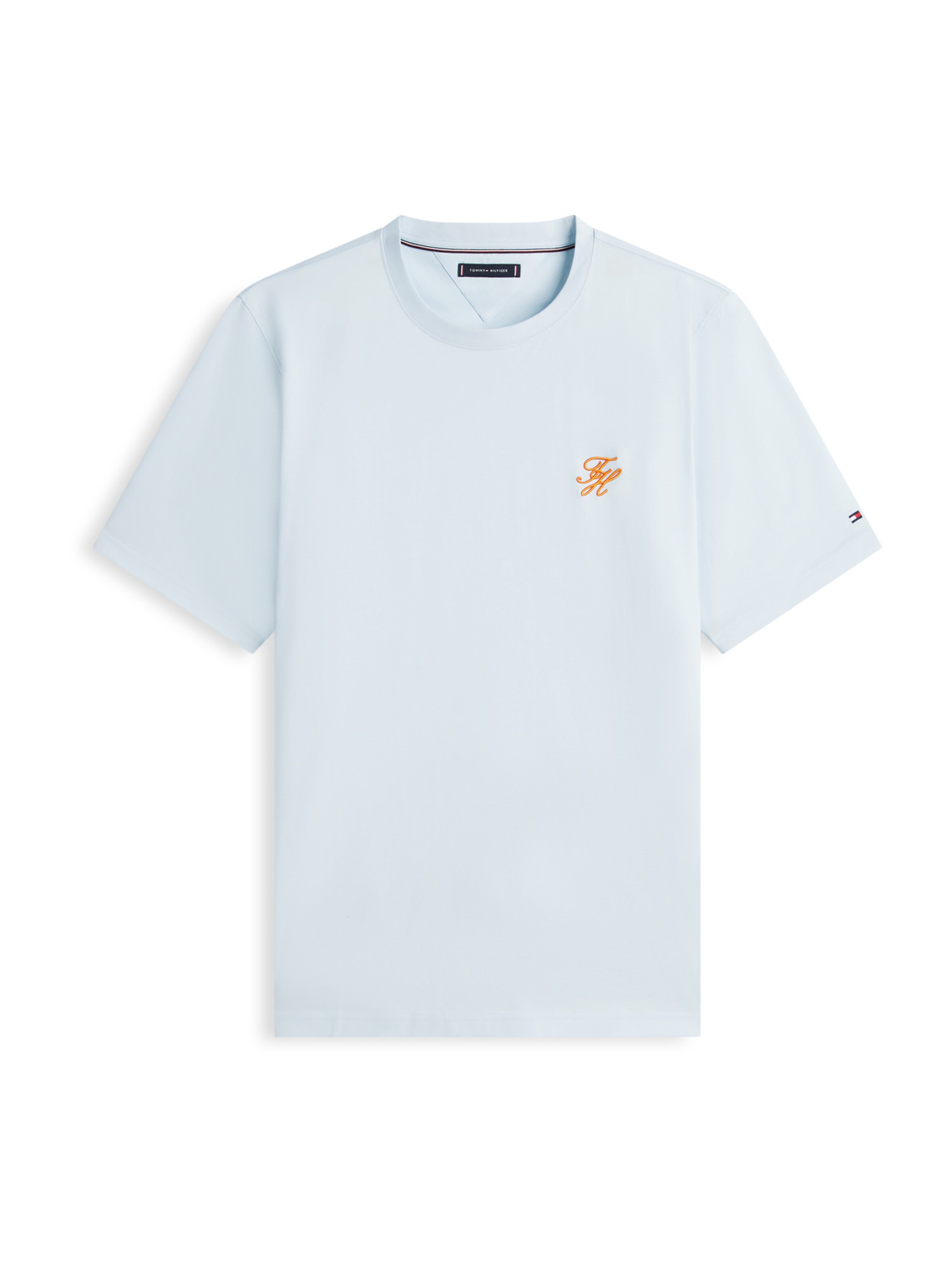 Tommy Hilfiger Big & Tall Shirt in Blue: front