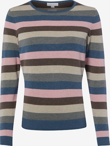 Pull-over Brookshire en marron : devant