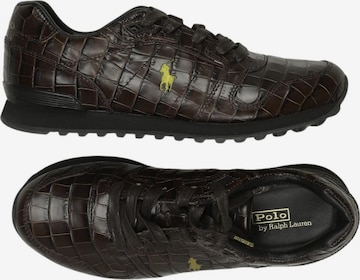 Polo Ralph Lauren Sneaker 38 in Braun: Vorderseite
