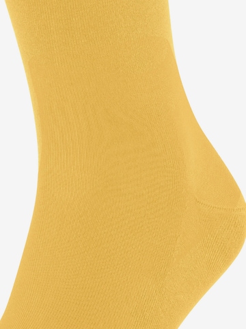 FALKE Socken 'Cool 24/7' in Gelb: Vorderseite