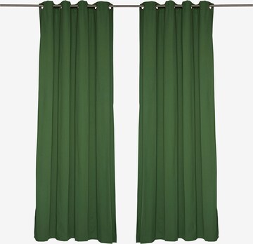 TOM TAILOR Curtains & Drapes in Green: front