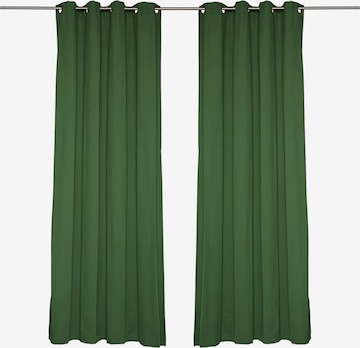 TOM TAILOR Curtains & Drapes in Green: front