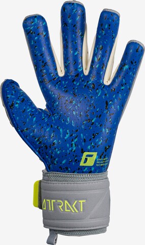 REUSCH Handschuhe 'Attrakt Freegel Fusion Goaliator' in Grau