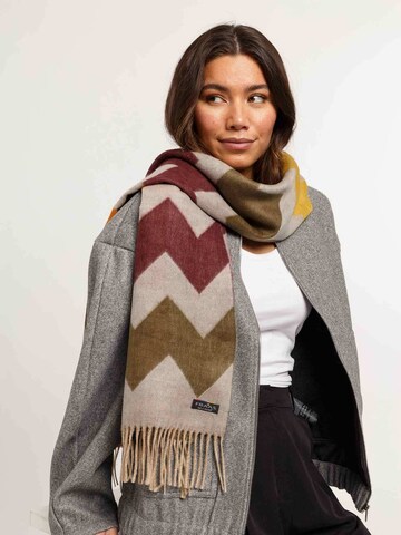 FRAAS Scarf in Mixed colors: front