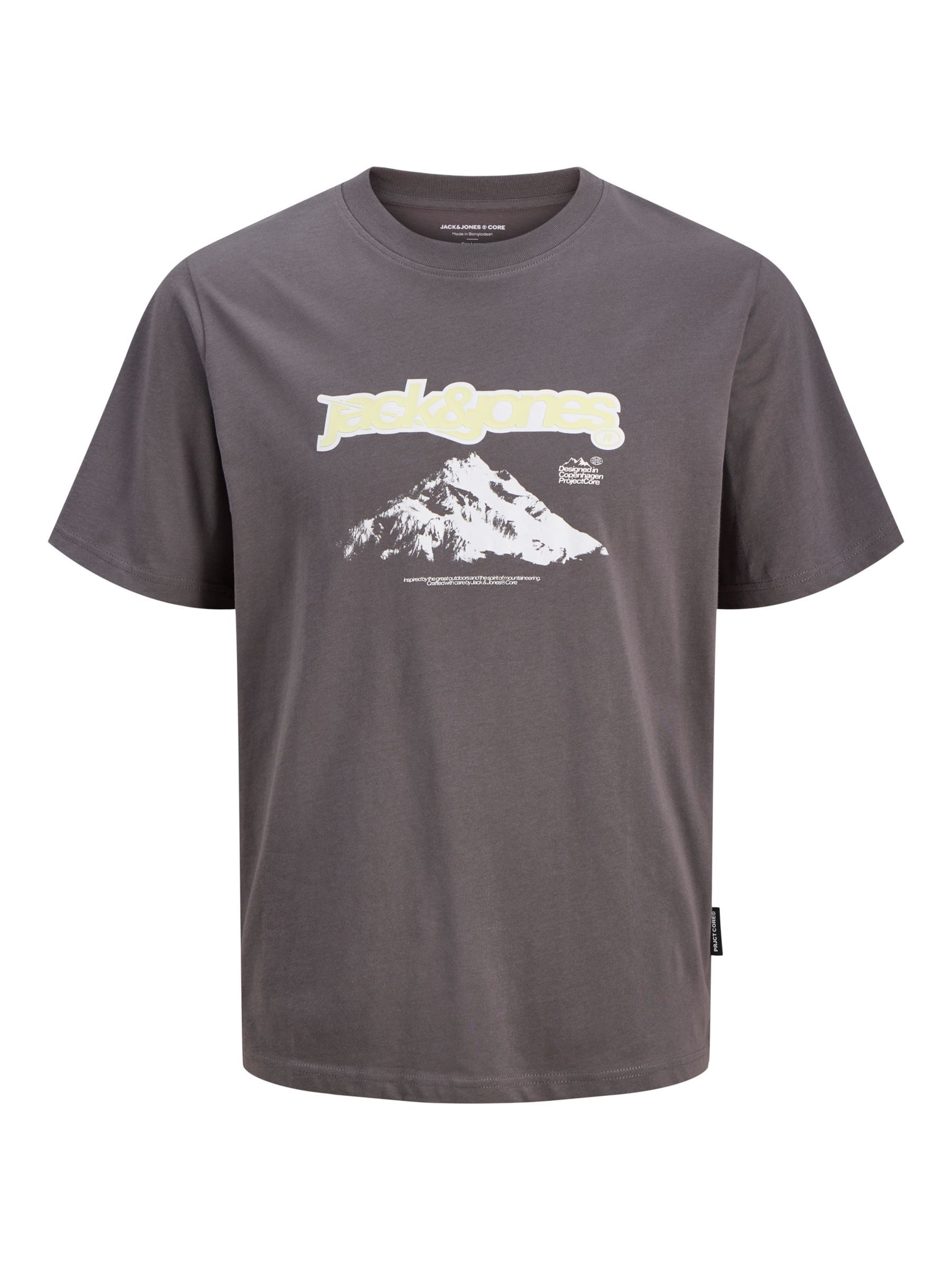 Maglietta 'JJCoflare' di JACK & JONES in grigio: frontale