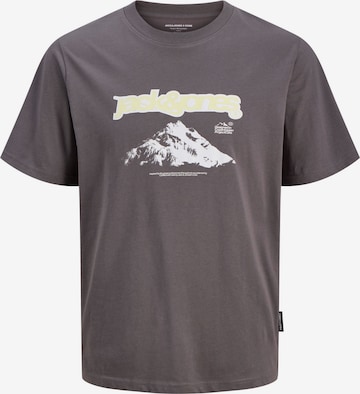 JACK & JONES - Camiseta 'JJCoflare' en gris: frente