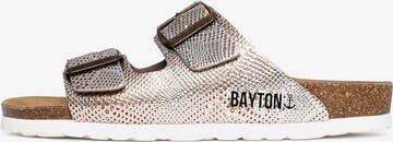 Bayton Mules 'Atlas' in Silver: front