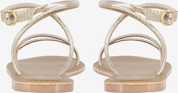 faina Strap sandal in Gold