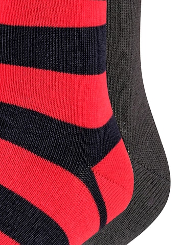 FALKE Sokken 'Happy Stripe 2-Pack' in Blauw
