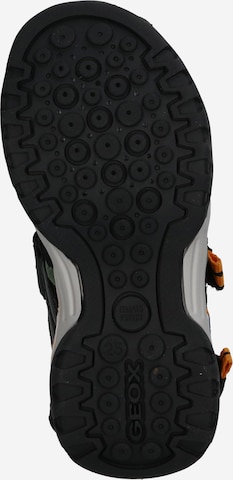 GEOX Sandals & Slippers 'Borealis' in Black