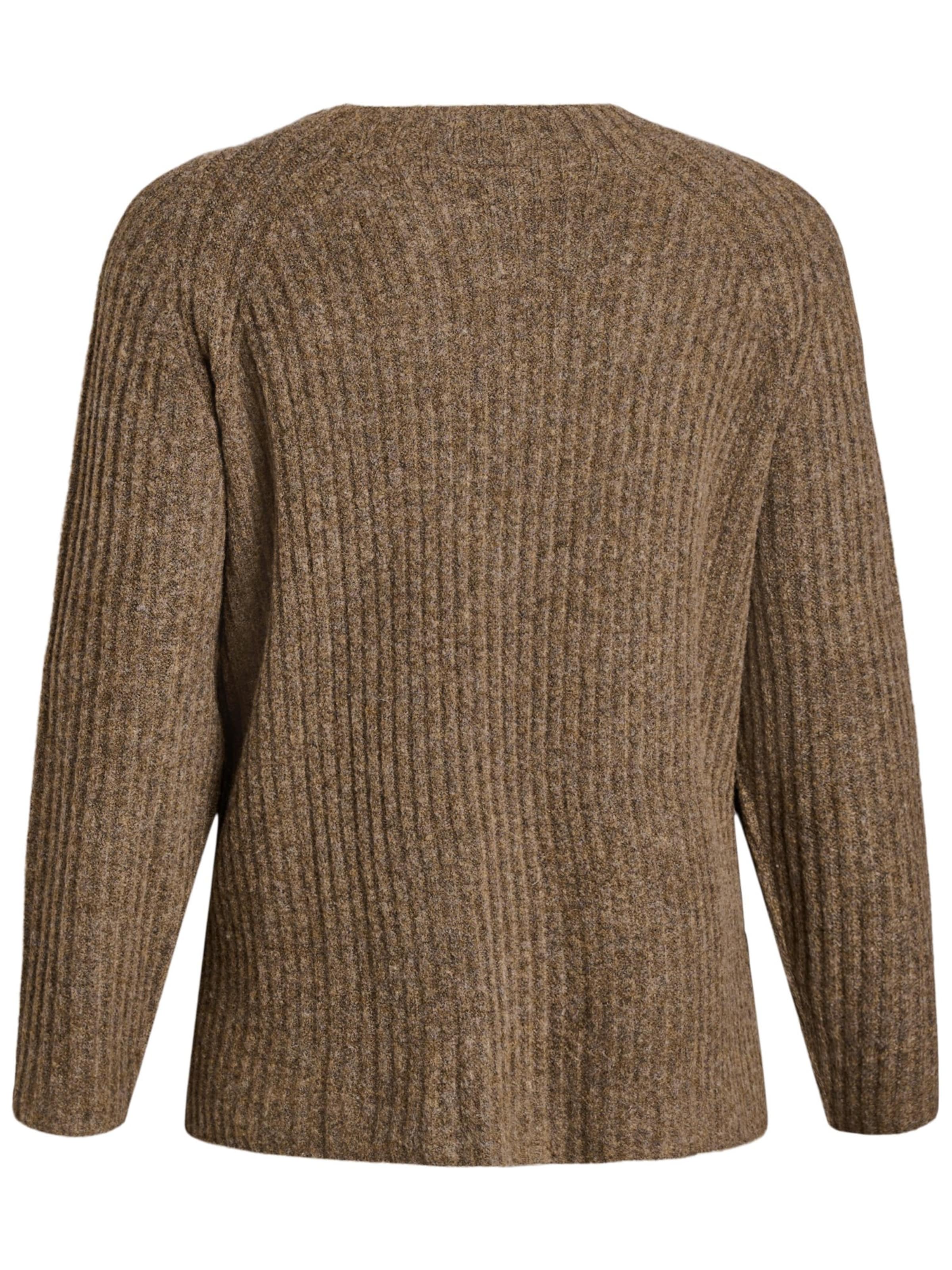Zizzi Sweater 'Cacomfy' in Brown
