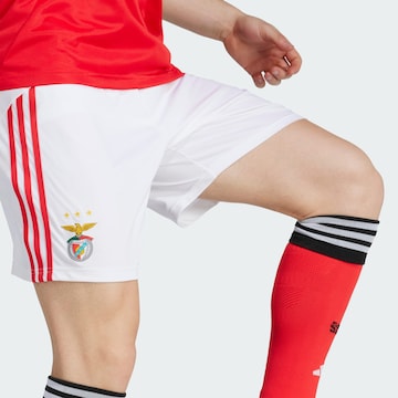 Regular Pantalon de sport 'Benfica Lissabon 25/26' ADIDAS PERFORMANCE en blanc