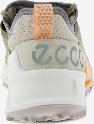 ECCO Sneaker in Grün