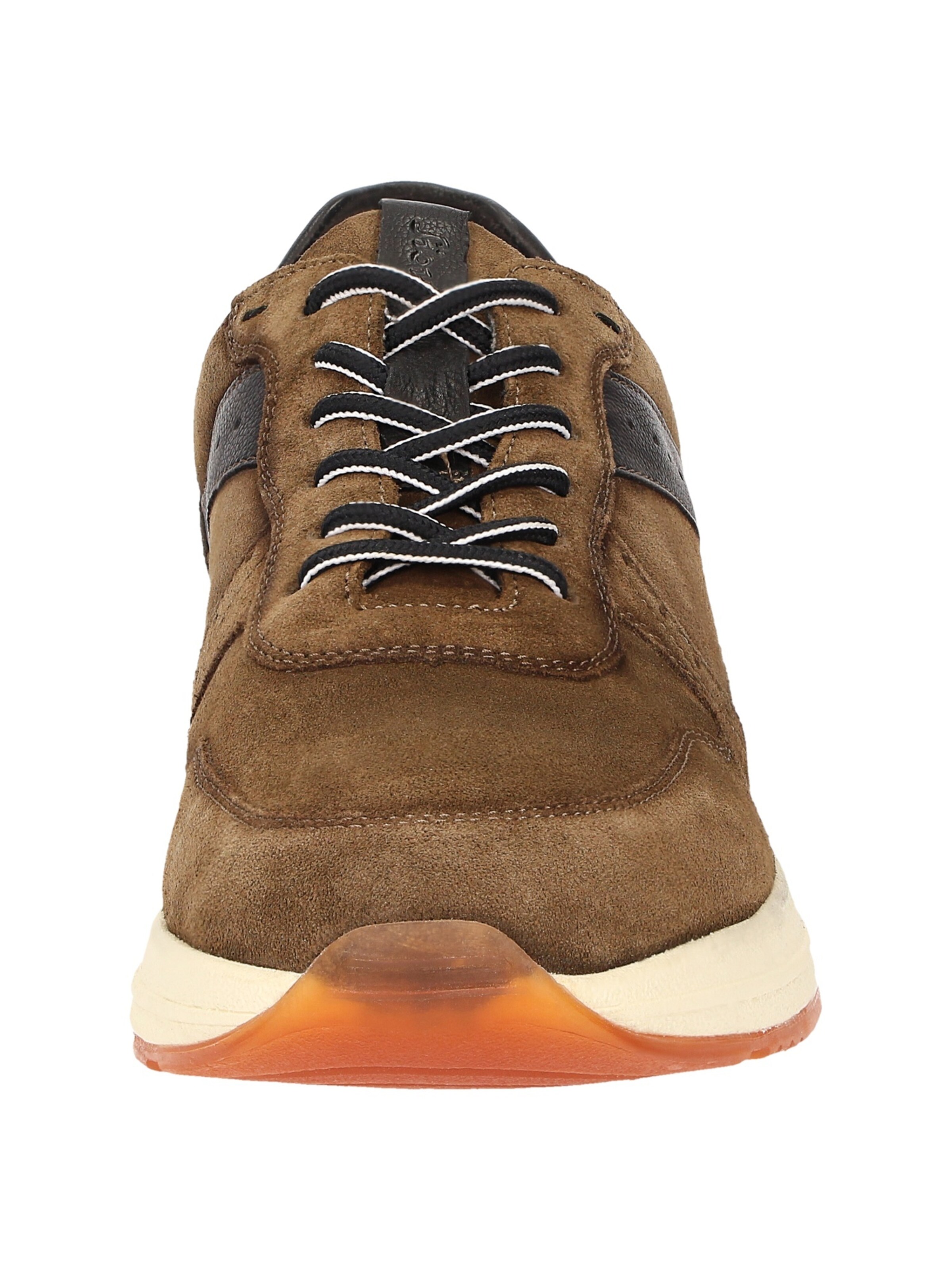 SIOUX Sneaker ' Rojaro-719 ' in Braun