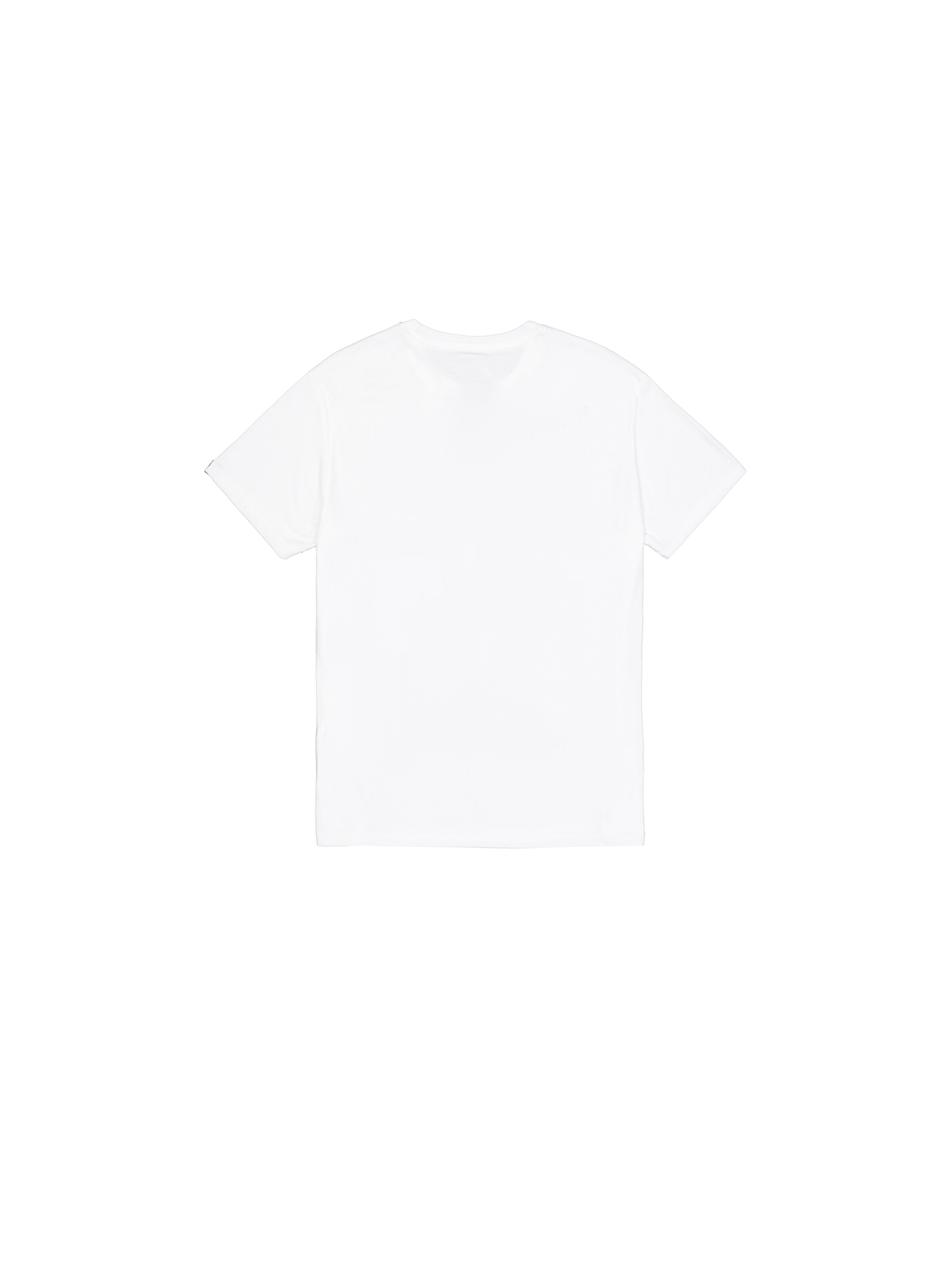T-Shirt 'Alpha Hawaii' ALPHA INDUSTRIES en blanc