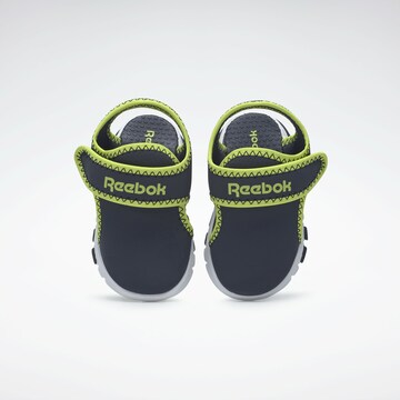 Reebok Sportschuh ' Wave Glider III ' in Blau