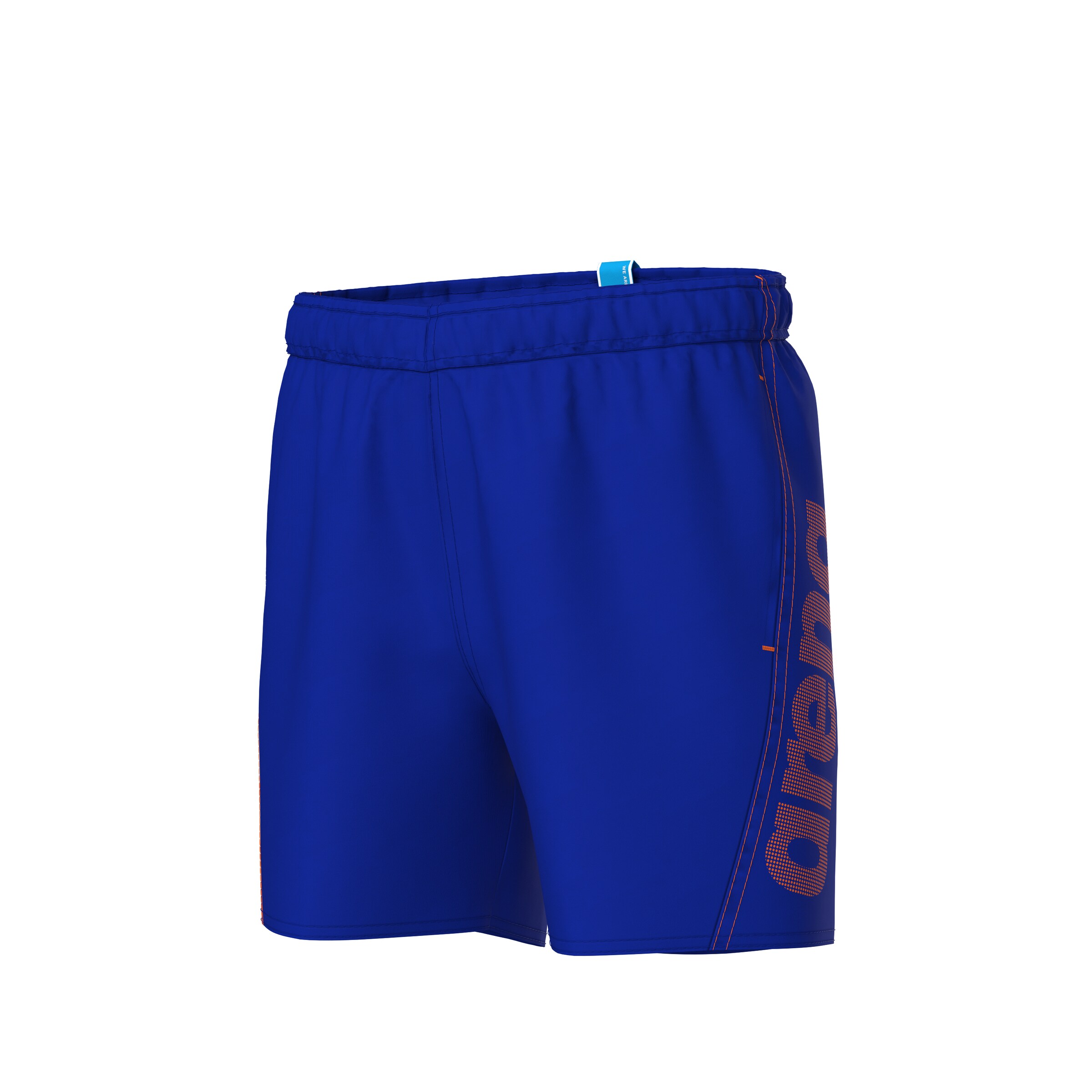 ARENA Board Shorts in Blue