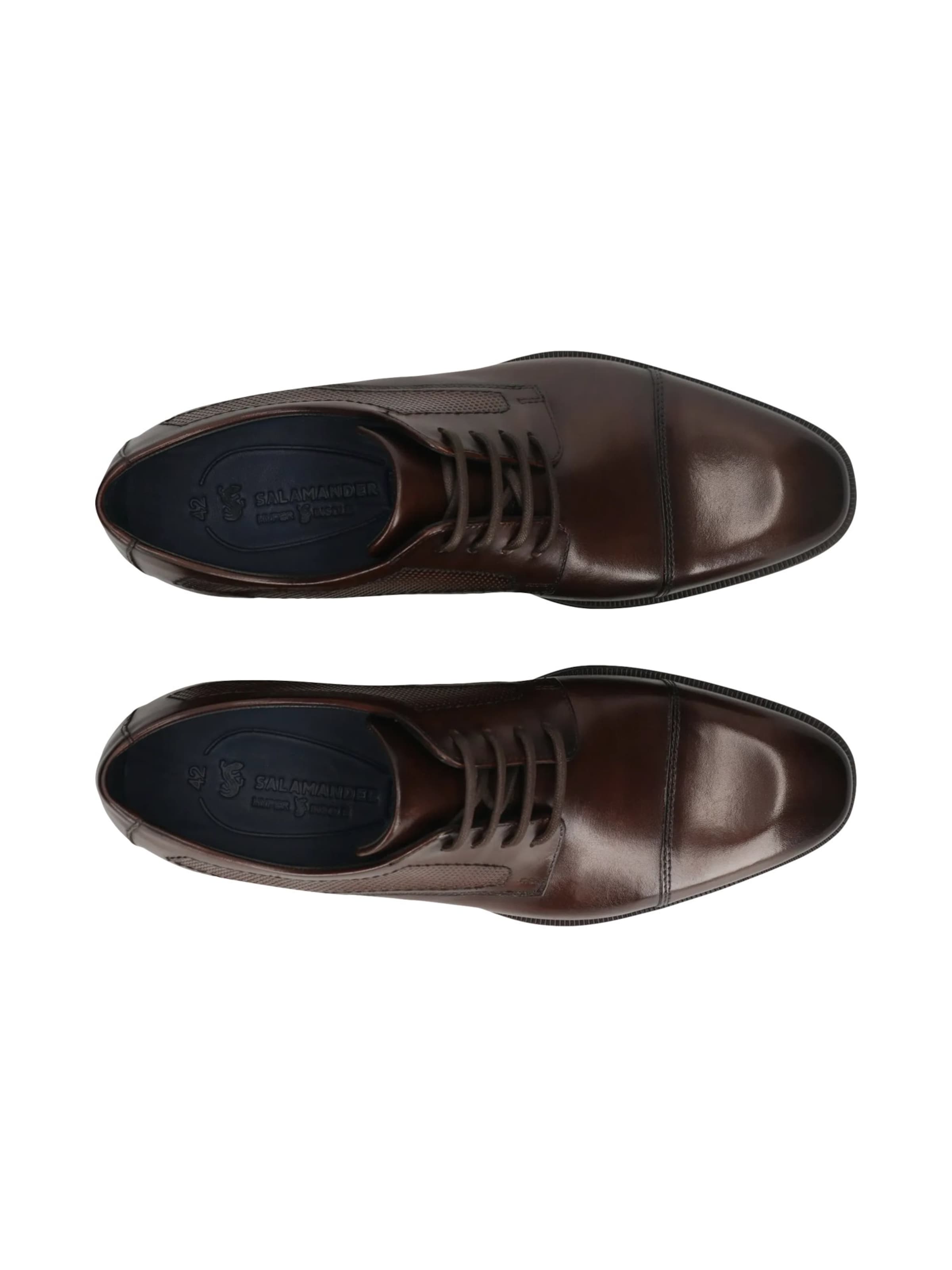 Scarpa stringata di SALAMANDER in marrone