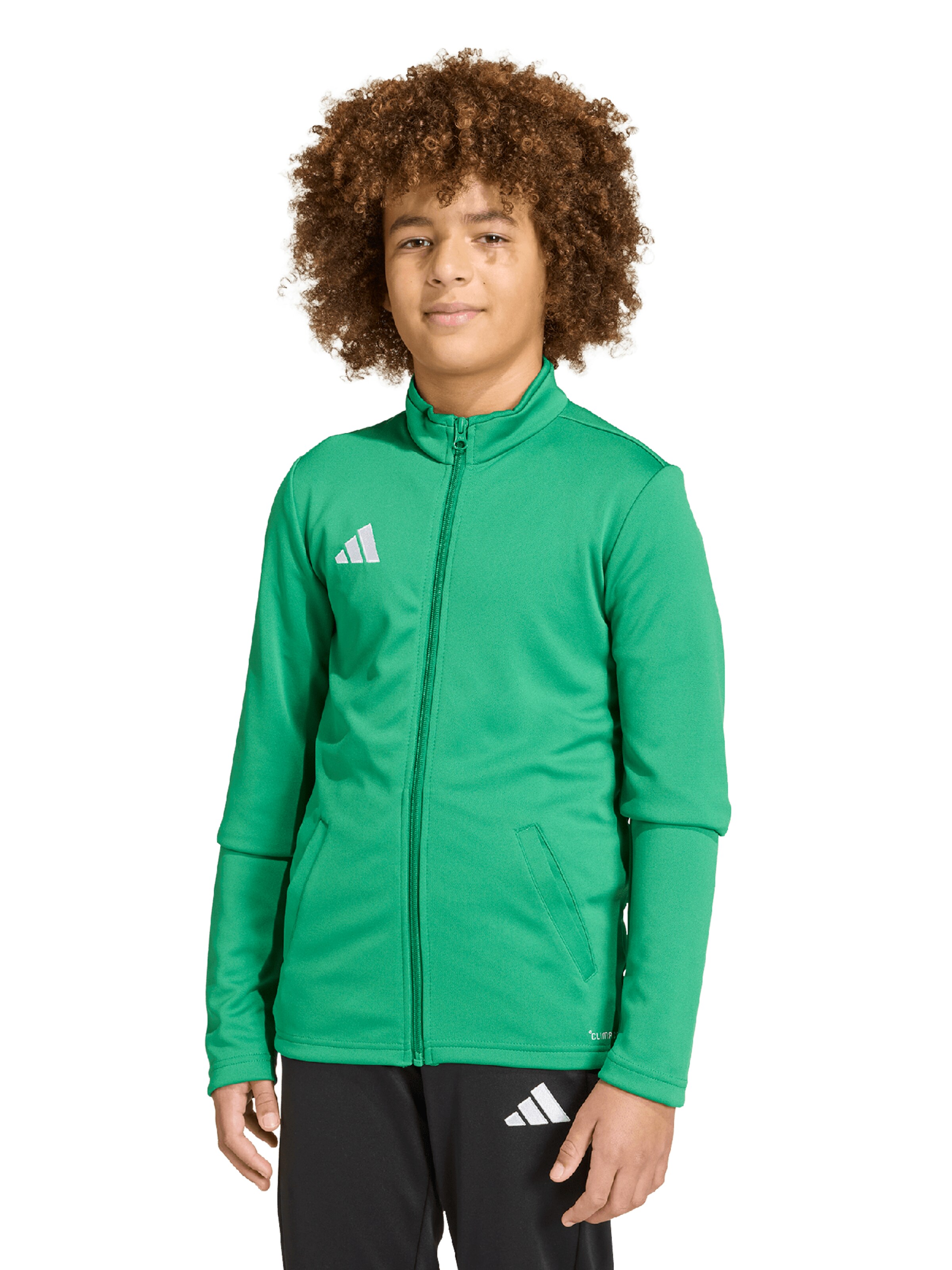 ADIDAS PERFORMANCE Sportovní bunda 'ENT26' – zelená: přední strana