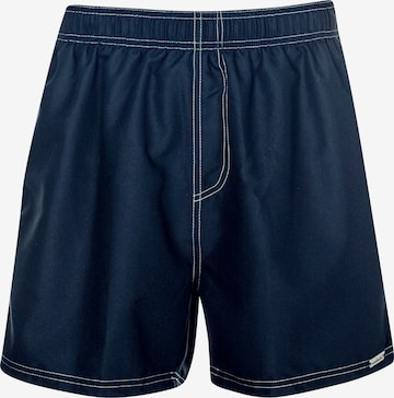 wavebreaker Board Shorts in Blue: front