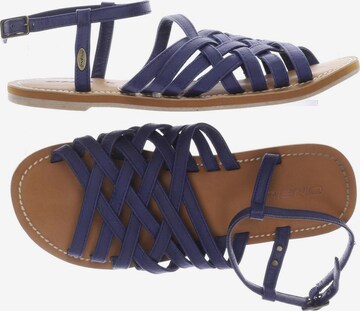 O'NEILL Sandalen 36 in Blau: predná strana