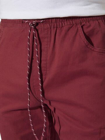 BABISTA Regular Broek 'Farlan' in Rood