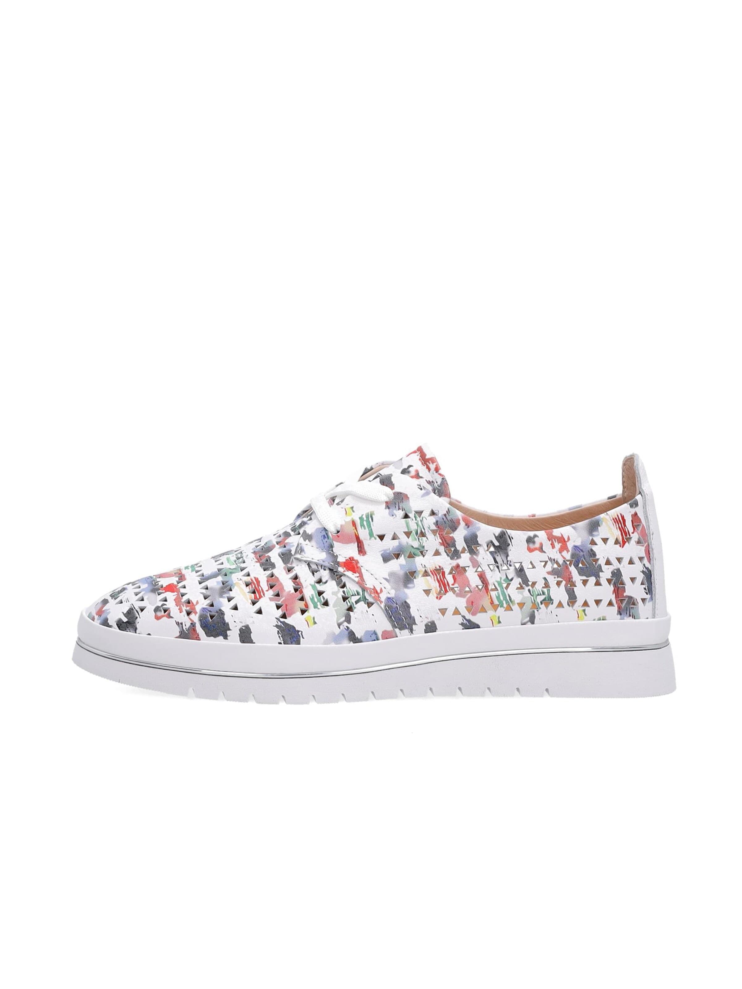 VENEZIA Sneakers 'Venezia' in 36 in Mixed colors, Item view