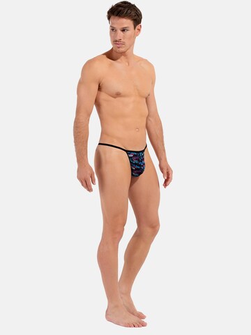 HOM Slip 'Rock Black' in Mixed colours