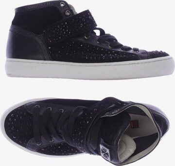 Högl Sneakers & Trainers in 37 in Black: front
