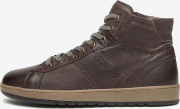 Baskets basses 'Osaka' Nero Giardini en marron : devant