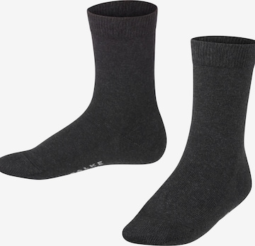 FALKE Socks 'Family' in Grey: front