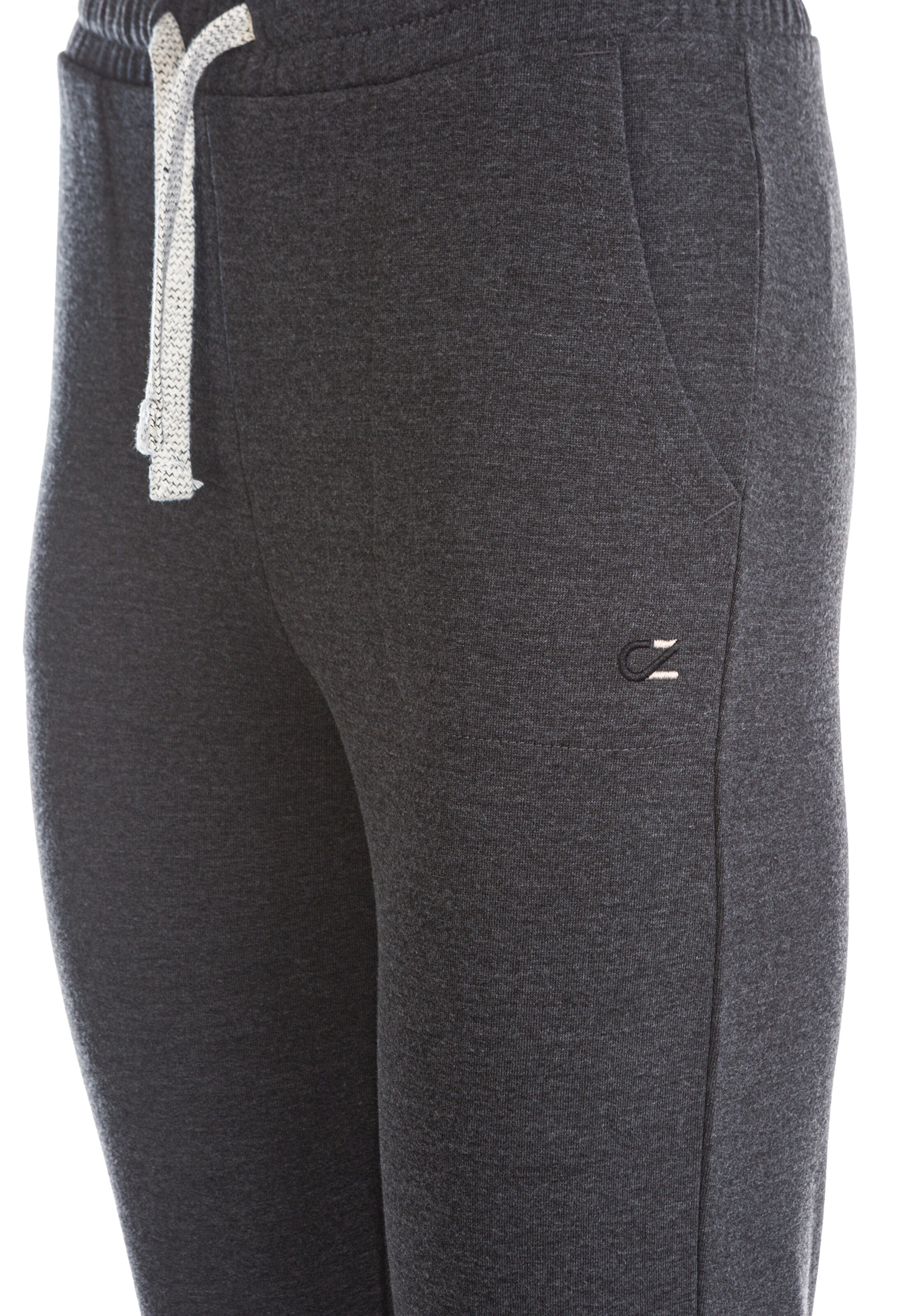 Cruz Regular Trainingshose 'Regent' in Grau