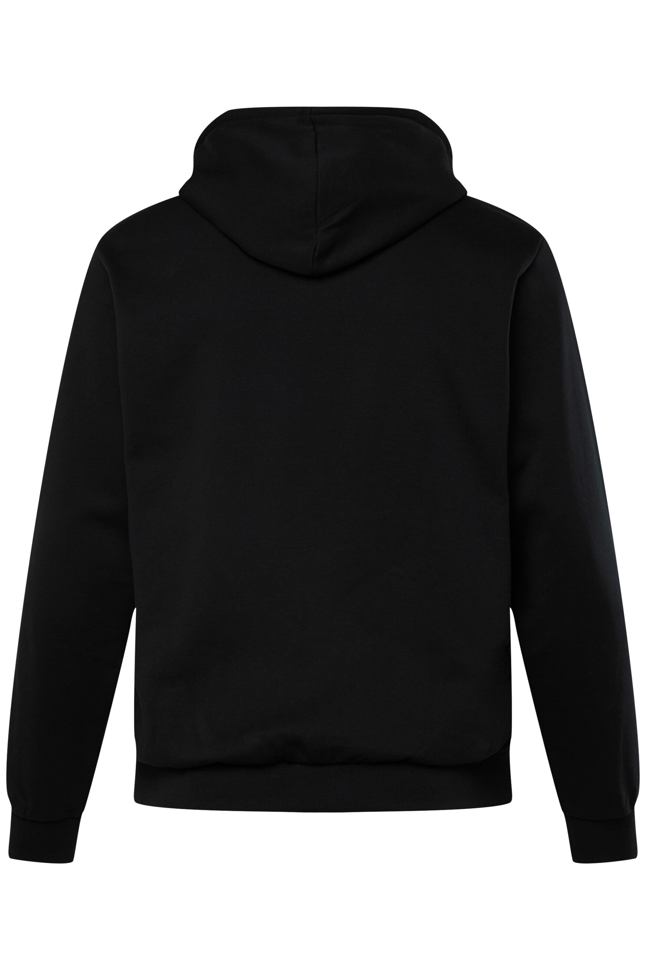 Men Plus Sweatshirt in Zwart