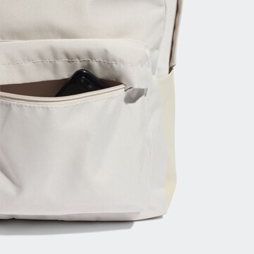 ADIDAS PERFORMANCE Sportrucksack in Grau