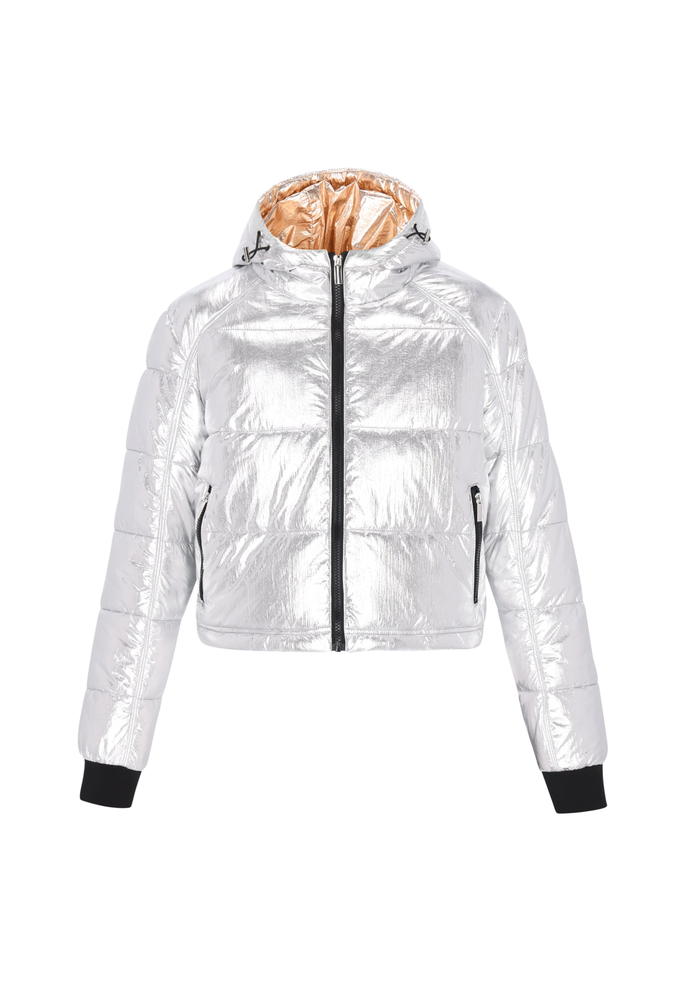 Geacă de iarnă de la faina pe argintiu: față