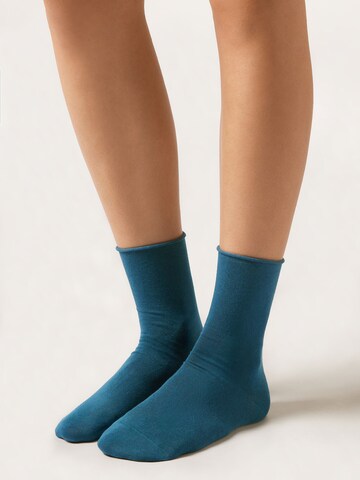 CALZEDONIA Socks in Blue: front