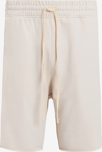 AllSaints Pantalón 'HELIX' en gris claro, Vista del producto