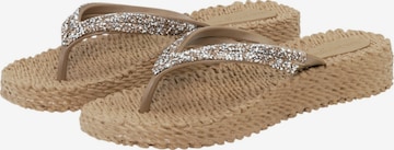 ILSE JACOBSEN Teenslipper 'Cheerful 08M' in Bruin: voorkant