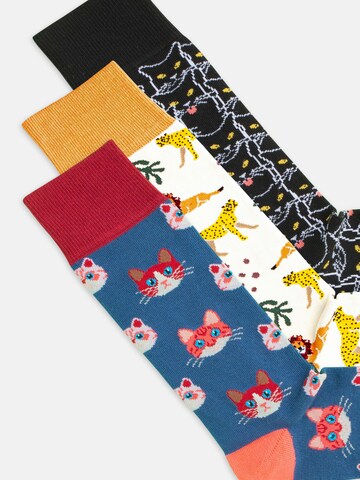 DillySocks Socks 'Cat Lover Pack - Kitty Chat - Cats of Prey - Sky Kitten' in Mixed colors