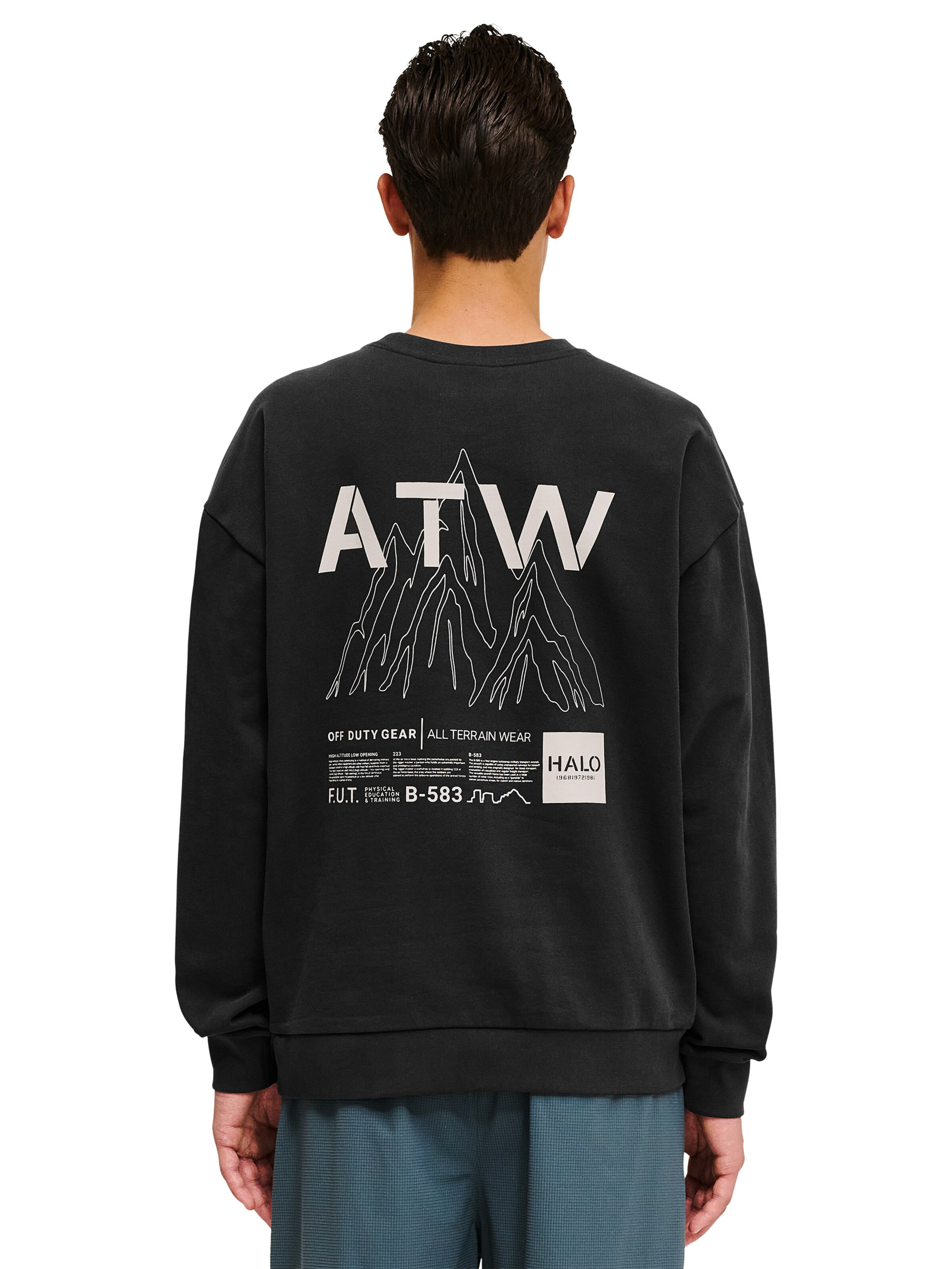 HALO Sweatshirt in Grau