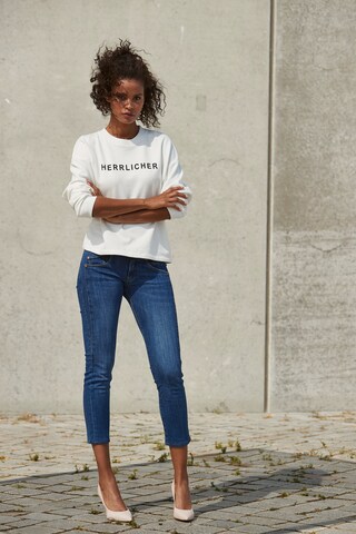 Herrlicher Sweatshirt in White