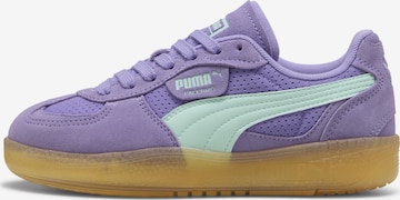 Baskets basses 'Palermo Moda' PUMA en violet : devant