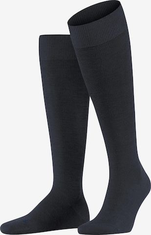 FALKE Kniestrümpfe 'Energizing Wool' in Blau: Vorderseite