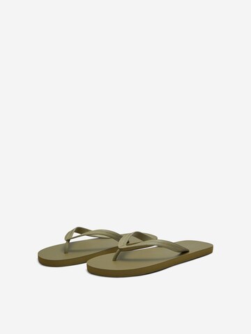 SELECTED HOMME T-Bar Sandals 'Felix' in Green