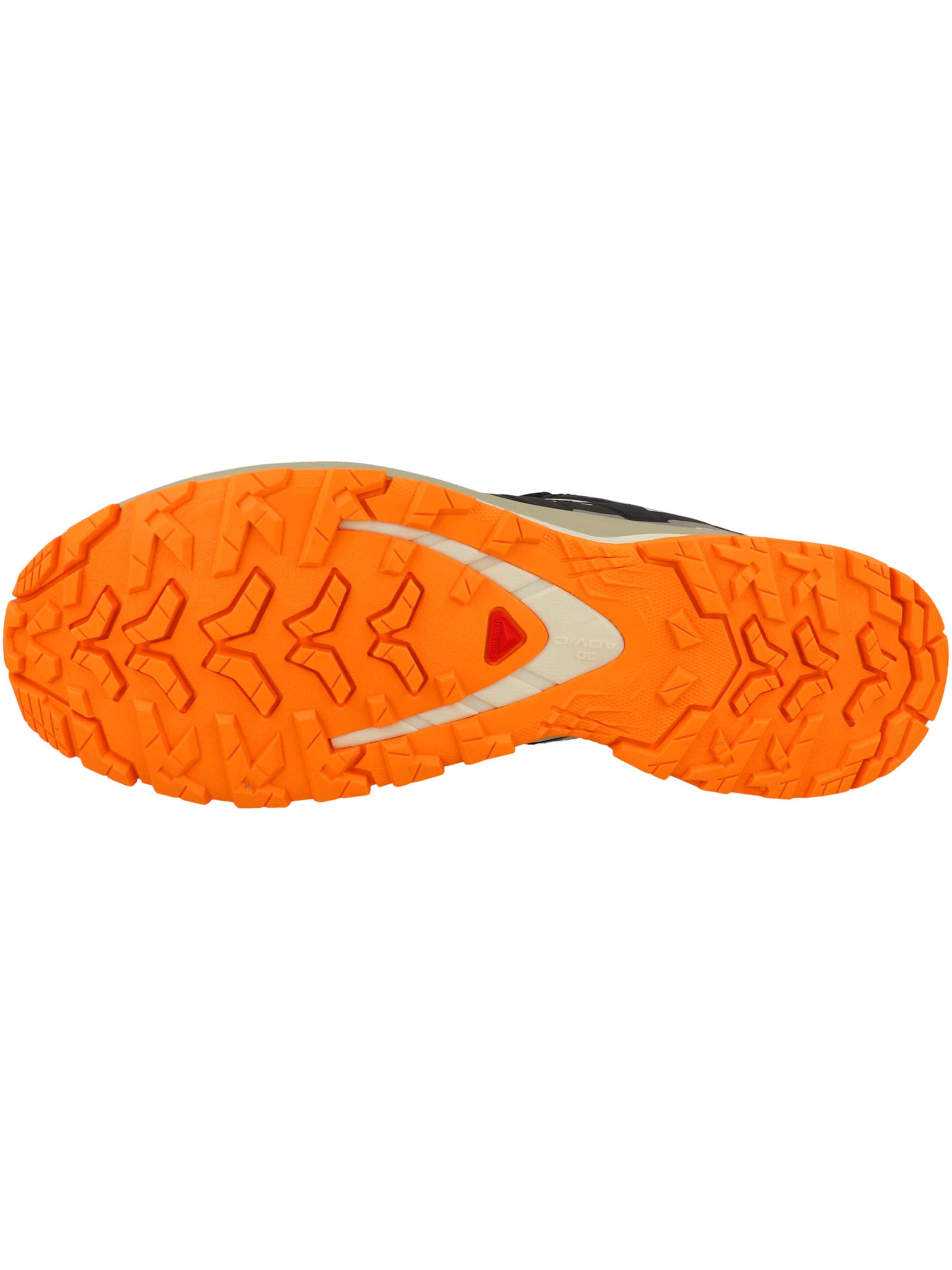 SALOMON Laufschuh 'XA PRO 3D V9' in Schwarz